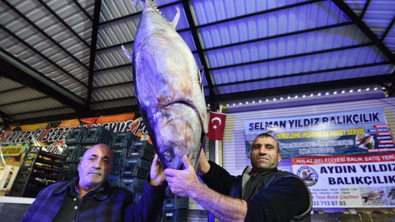 Dev orkinos ilgi odağı oldu
