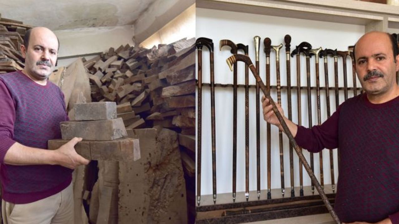 Bin yıllık ceviz ağaçları sanat eseri bastonlara dönüşüyor