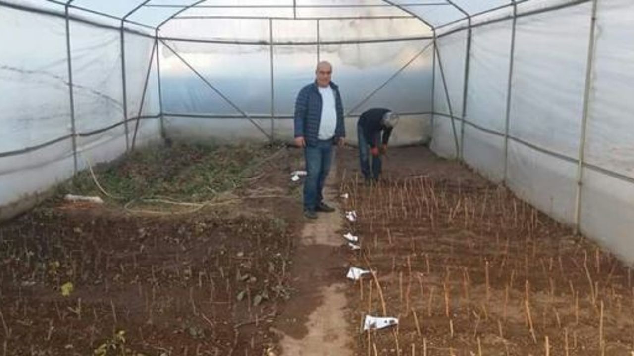 AHLAT GIDA TARIM VE HAYVANCILIK MÜDÜRLÜĞÜ UYGULAMA SERASI KURDU  