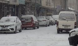 Ahlat’ta beklenen kar yağışı başladı