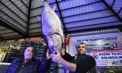 Dev orkinos ilgi odağı oldu