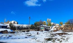 Ahlat’ın yüksek kesimlerine mevsimin ilk karı yağdı