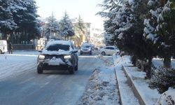Ahlat’ta kar yağışı kenti beyaza bürüdü