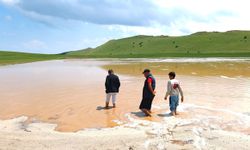 Ahlat'ta sel tarım arazilerine zarar verdi