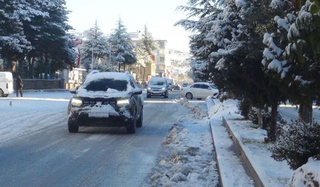 Ahlat’ta kar yağışı kenti beyaza bürüdü