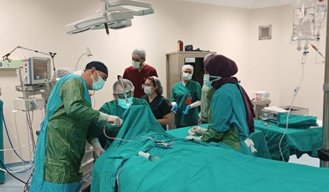 Ahlat Devlet Hastanesi'nde ilk kez bademcik ameliyatı yapıldı