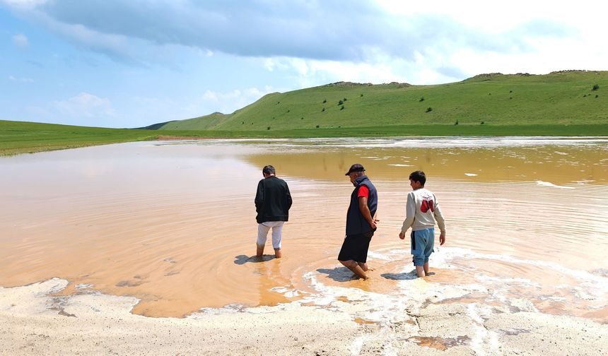 Ahlat'ta sel tarım arazilerine zarar verdi